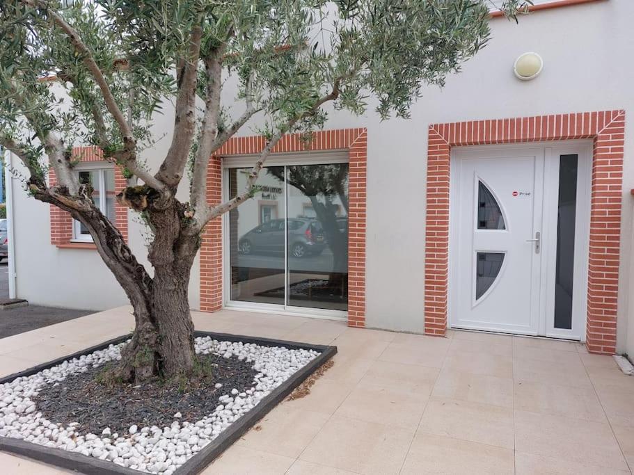 T3 Climatise, Parking Et Jardin Quartier Des Marots A Colomiers Lägenhet Exteriör bild
