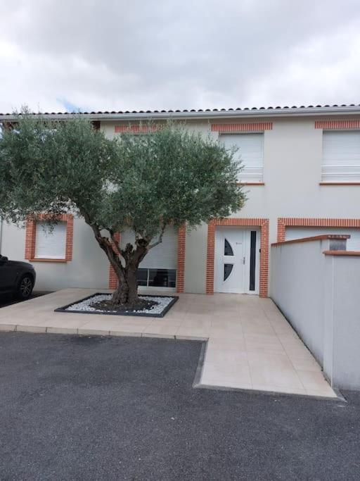 T3 Climatise, Parking Et Jardin Quartier Des Marots A Colomiers Lägenhet Exteriör bild